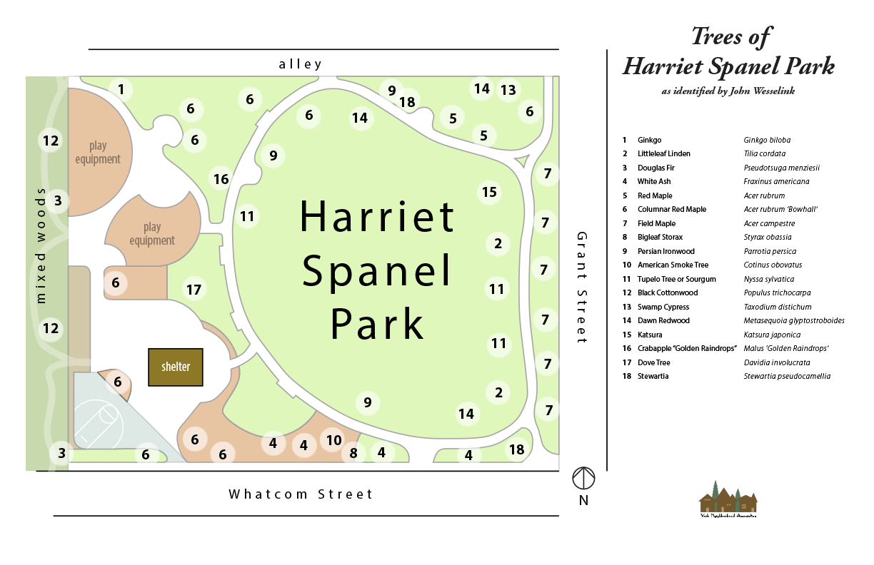Trees of Harriet Spanel Park—February 2019